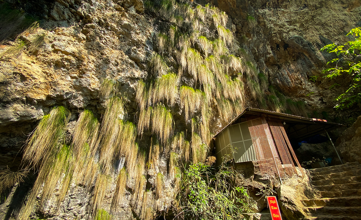 lc1 1 e1620800606108