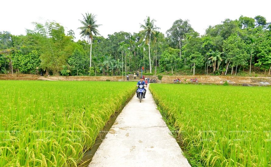 ly2 1 e1623311471837